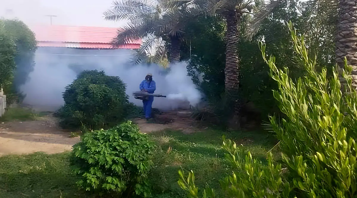 اقدامات گروه وطنزرین برای کنترل پشه آئدس