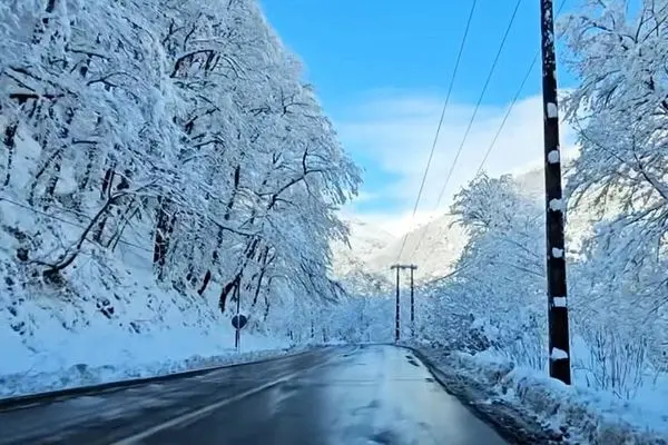 هشدار برف و کولاک برای این استان 