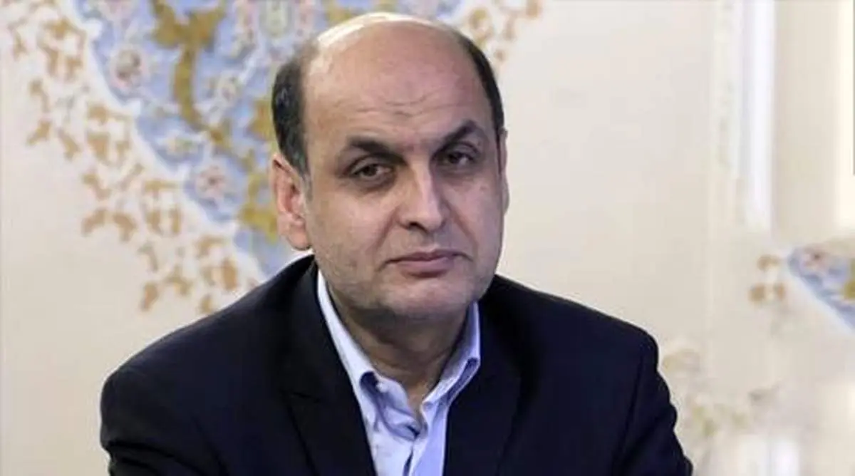 هادی حق شناس: با فسادهای اقتصادی  برخورد سیاسی نکنیم 