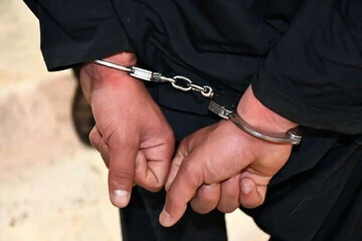 سرقت منازل با خودروی پلاک جعلی در تهران