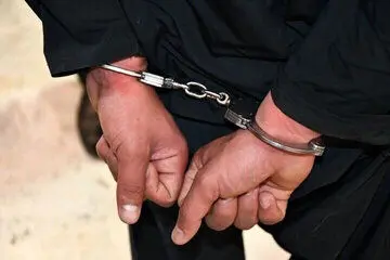 سرقت منازل با خودروی پلاک جعلی در تهران