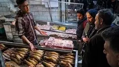 تخم‌مرغ گران‌تر از نرخ مصوب/ بازار کالاهای اساسی همچنان پرنوسان