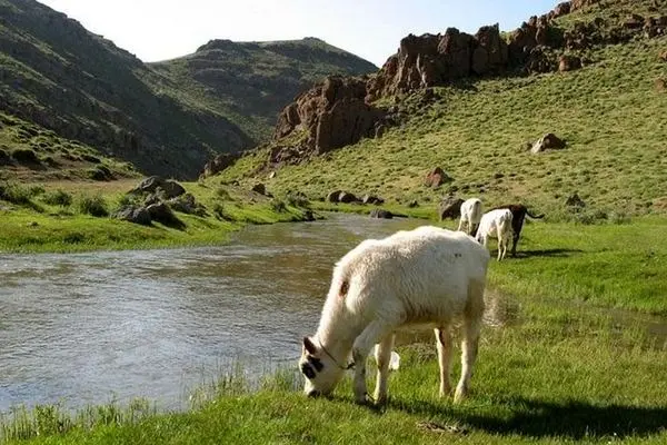 تعطیلات شهریور کجا بریم؟/آب‌وهوای شهرها در شهریورماه