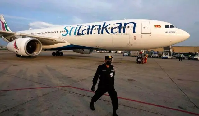 یک موش هواپیما را در سریلانکا زمین‌گیر کرد