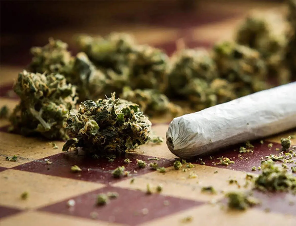  ماده مخدر کِمیکال از گُل خطرناک‌تر است/ کِمیکال چیست؟