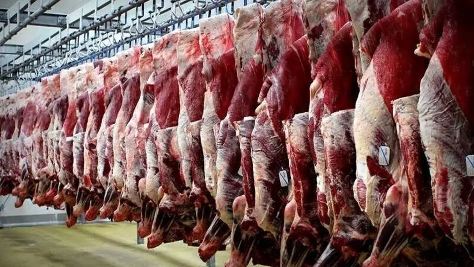 قیمت مصوب گوشت اعلام شد 