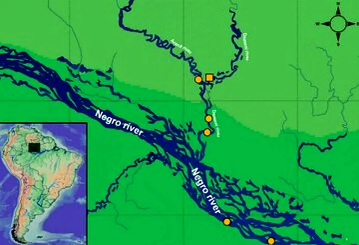 عکس | پرسه زدن جانور عجیب و ثبت نشده در آبهای آمازون!