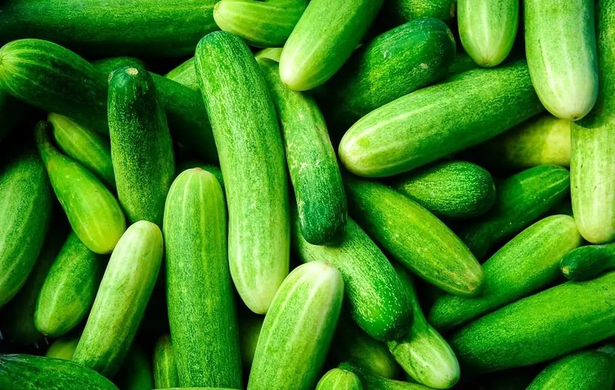 فواید خیار برای سلامتی