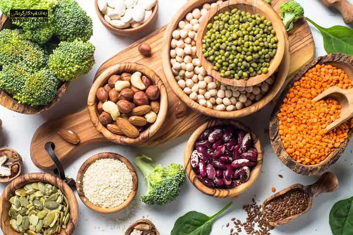 پروتئین گیاهی جایگزین لبنیات