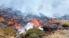 آتش سوزی در سومین جنگل شعله ور شد 