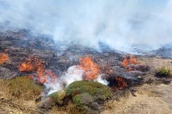 آتش سوزی در سومین جنگل شعله ور شد 