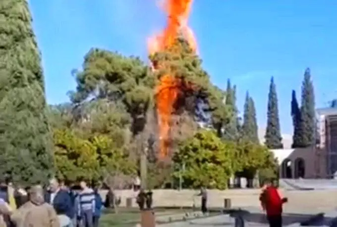  آرامگاه سعدی آتش گرفت/ مسئولان: مربوط به ۲ درخت کهنسال است!