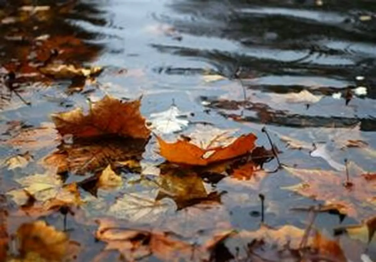 کاهش ۳۱.۹ درصدی بارشها در سال آبی جاری/ ۲۹ استان در وضعیت منفی