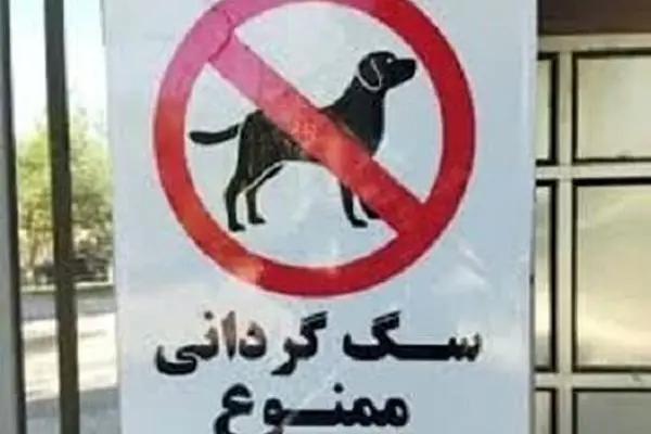 سگ گردانی در این شهر هم ممنوع شد 