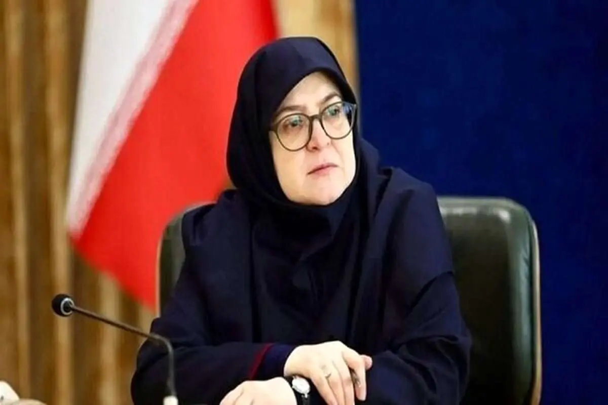 ببینید / واکنش مهاجرانی به فعالیتهای اقتصادی بابک زنجانی
