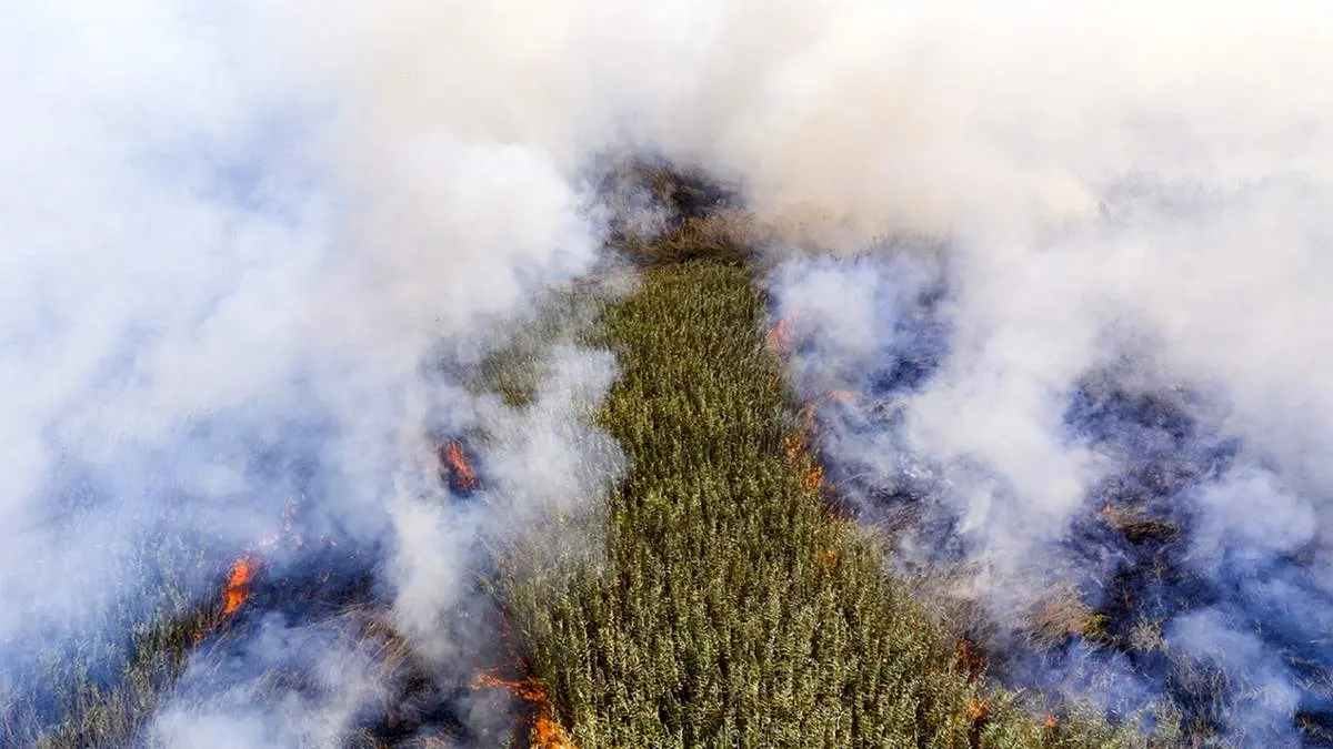 هوای هویزه گرفت