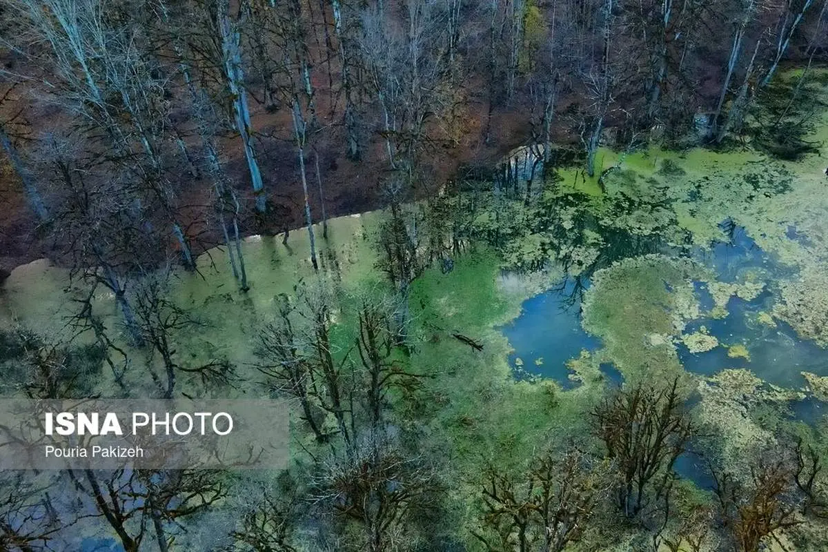 اسرارآمیزترین مرداب ایران در کلاردشت/ عکس