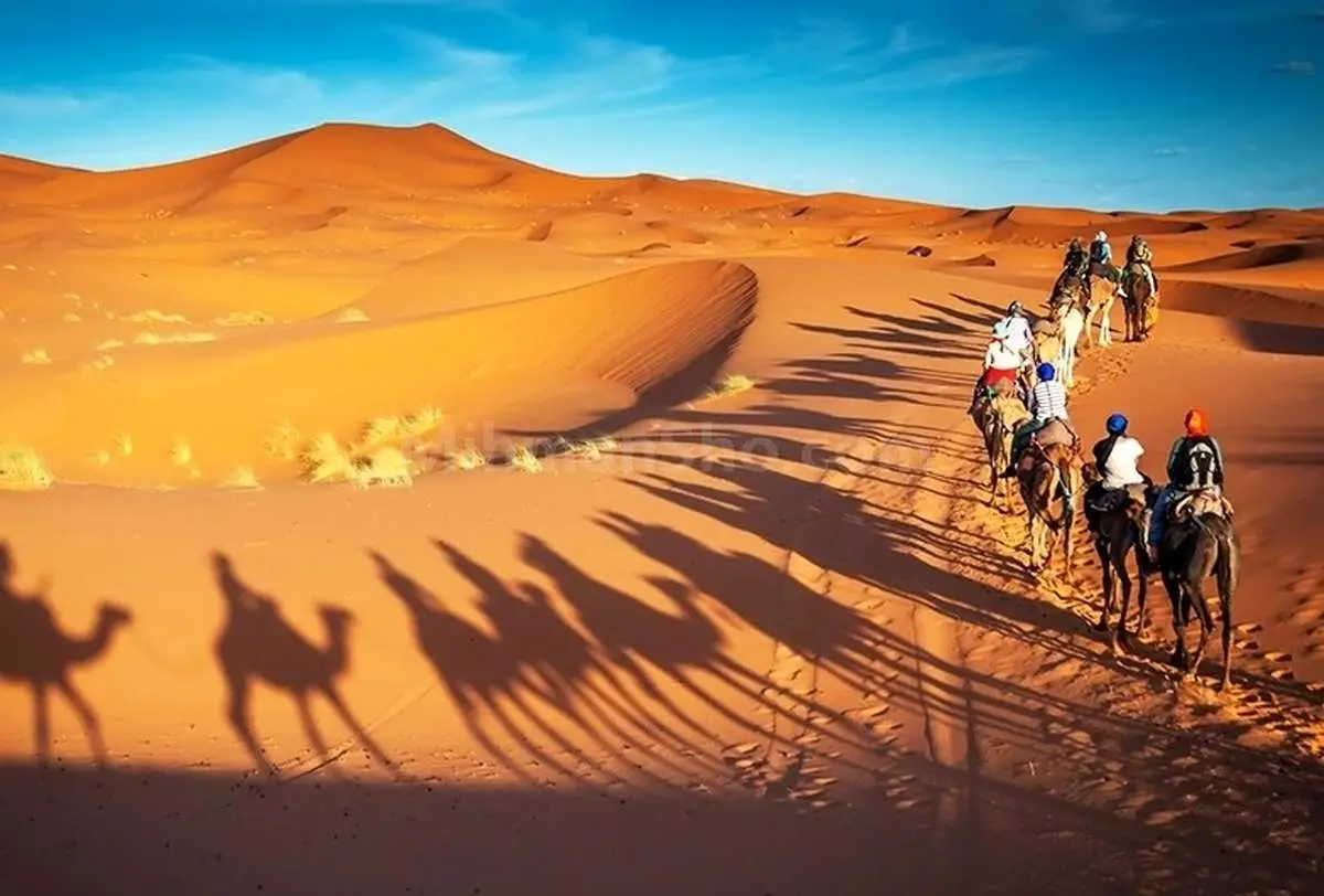 ۱۰ ‌گردشگر در کویر طبس گم شدند

