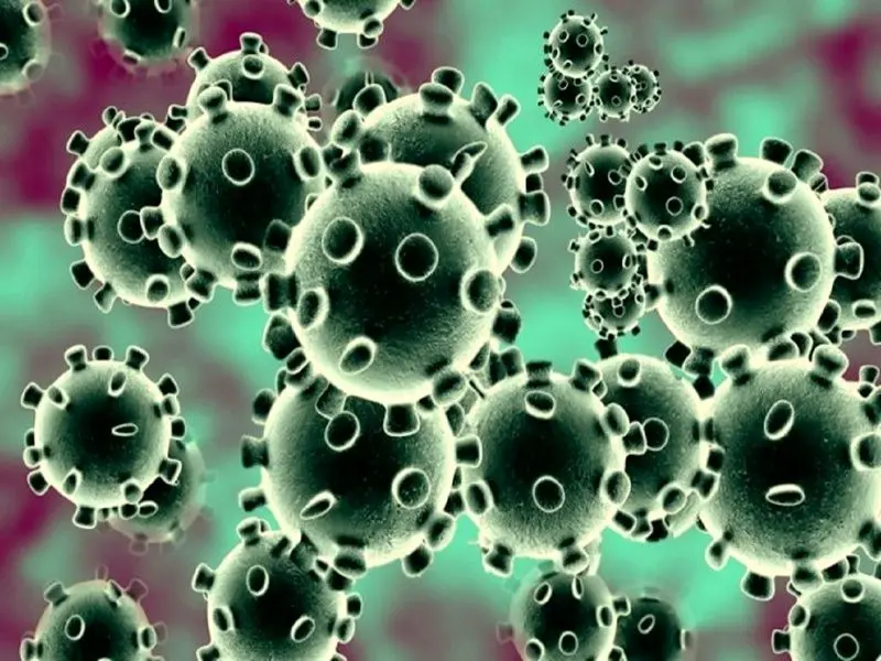 هشدار درباره گردش آنفلوانزا و رینوویروس در کشور