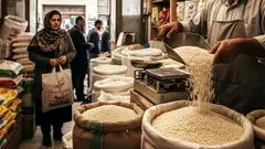 بازار برنج قربانی آمار و احتکار