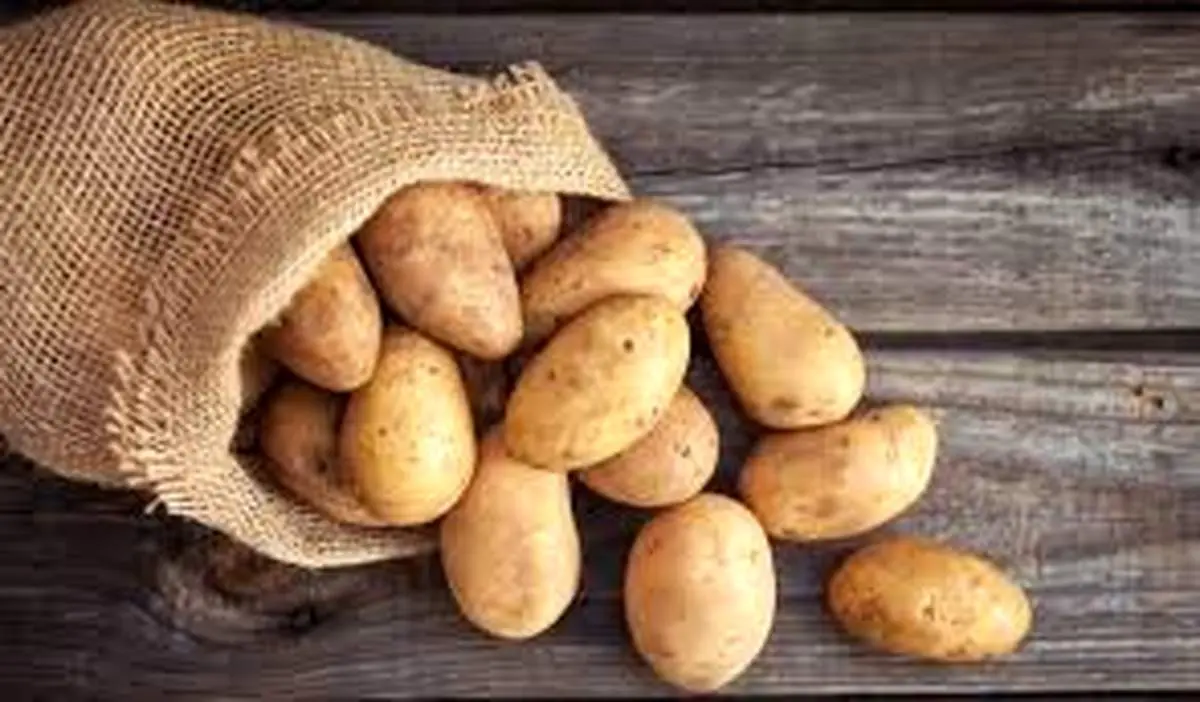 بهترین جایگزین برنج !