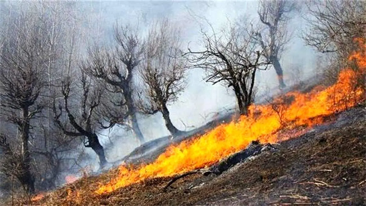 اعزام بالگرد برای مهار حریق در جنگل‌های مریوان/ زبانه آتش در بیش از ۲۰۰ هکتار