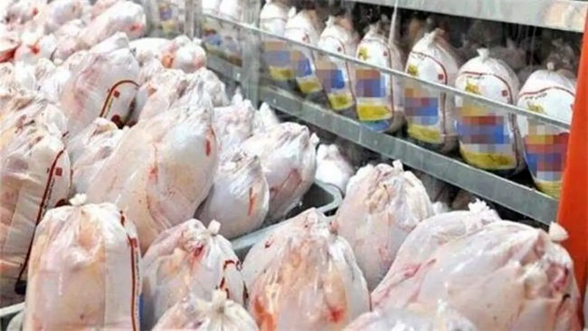 ۹۰ تن مرغ وارداتی رسید ولی امکان ترخیص ندارد!