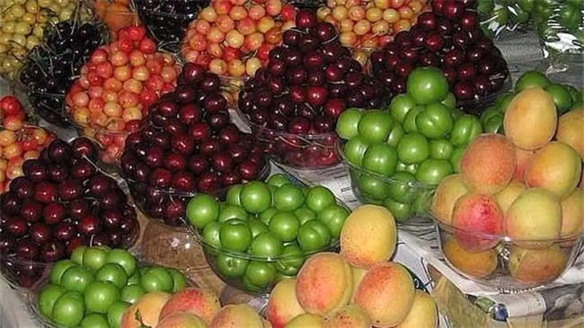 گرانترین میوه های فصل کدامند؟