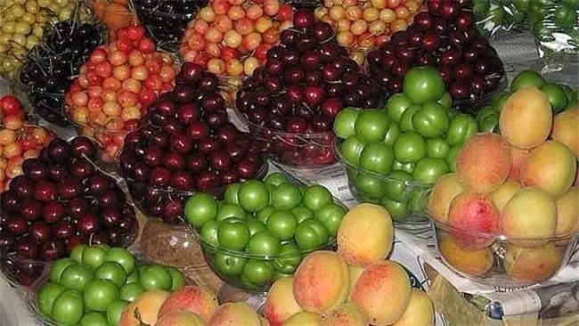 گرانترین میوه های فصل کدامند؟
