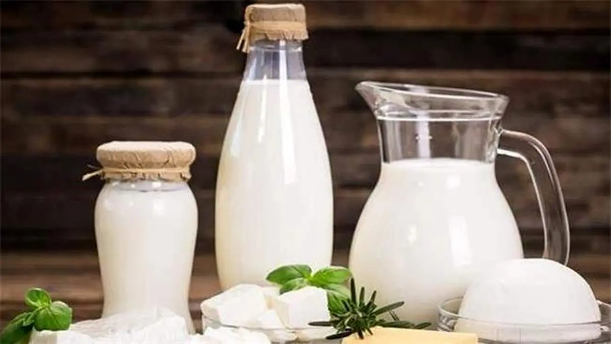 افزایش ۷۰ درصدی قیمت لبنیات از هفته آینده