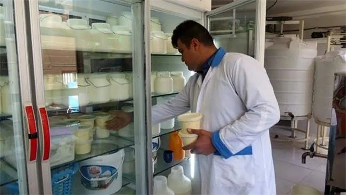 نرخ ۶۴۰۰ تومانی شیرخام موجب افزایش قیمت لبنیات می شود