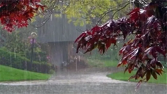 پیش بینی وضعیت جوی کشور تا چهارشنبه/کدام مناطق بارانی است