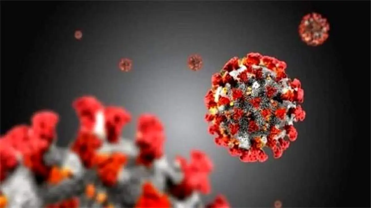 موارد تک‌گیر کرونای هندی و آفریقایی در تهران / فعلا گزارشی از کمبود واکسن نداریم