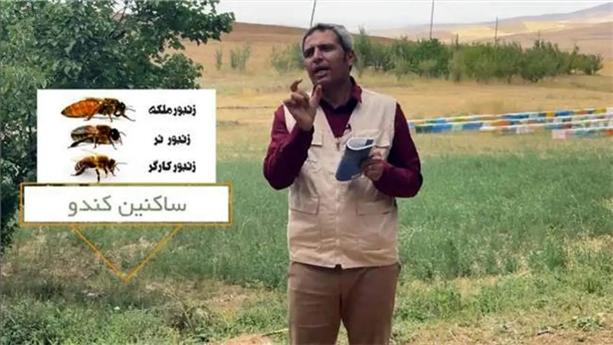 فیلمهای آموزشی برکت برای کارآفرینان مناطق محروم/ آموزش صفر تا صد یک شغل به متقاضیان اشتغال