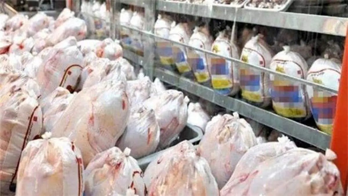 اختلاف قیمت ۱۴ هزارتومانی مرغ از تولید تا مصرف!