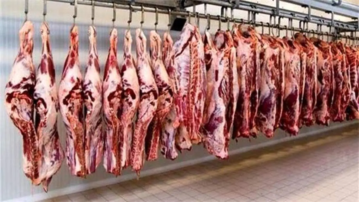 قصابها از جگر سوراخ شده دامها بر اثر خشکسالی خبر میدهند/ ادامه کشتار دامهای مولد به دلیل استقبال مردم