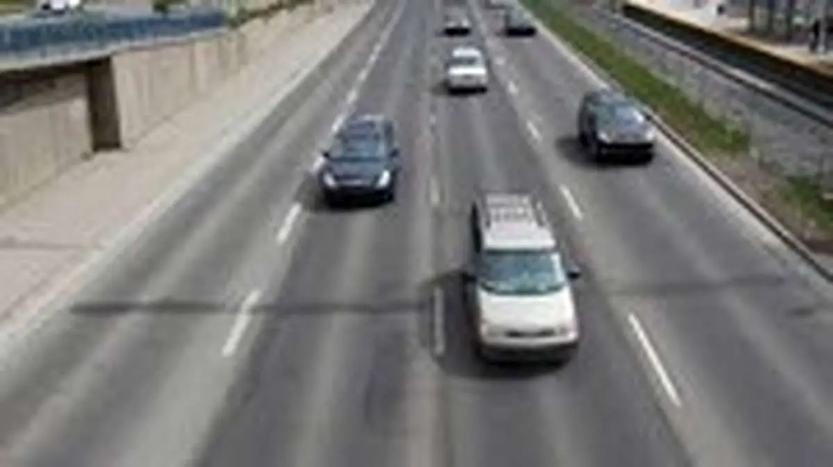 ببینید/ دعوای دو حیوان موجب بسته شدن اتوبان شد