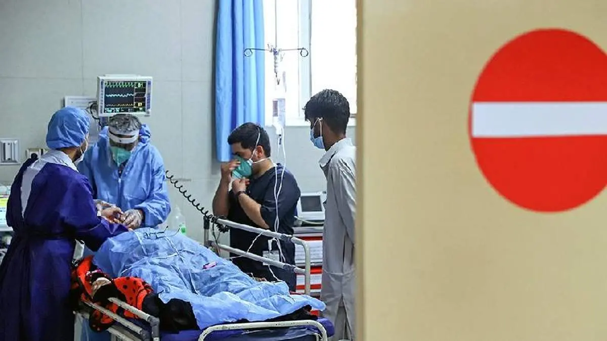 کرونا علت بروز قارچ سیاه نیست