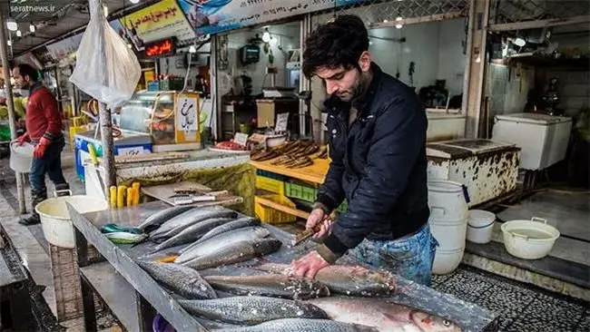چرا ماهی گران شده است؟