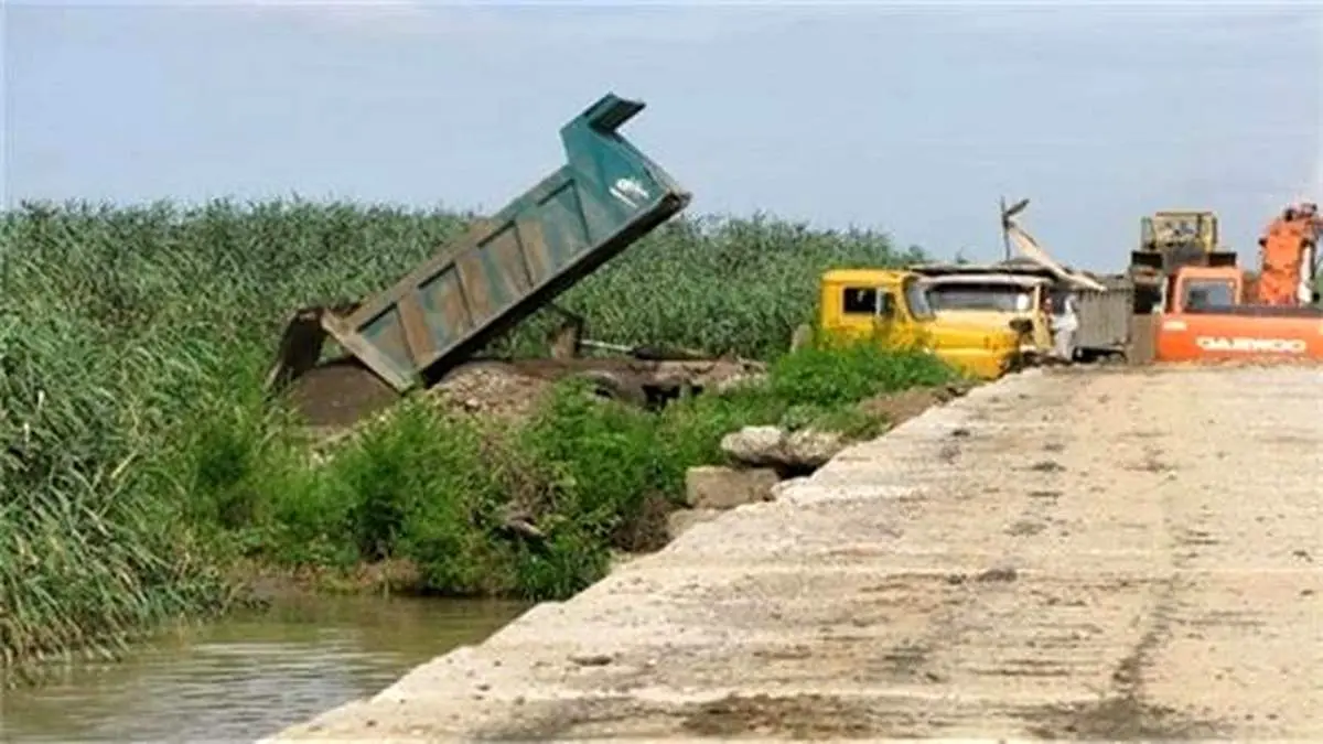 خشک کردن عمدی تالاب برای فروش زمینهای میلیاردی منطقه آزاد / تالاب انزلی در حصار سنبل آبی