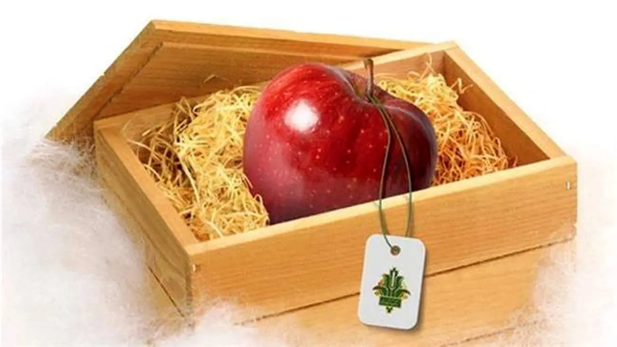 رشد 71 درصدی پرداخت تسهیلات به صنایع وابسته و خدمات کشاورزی در هفت ماهه سال 1400