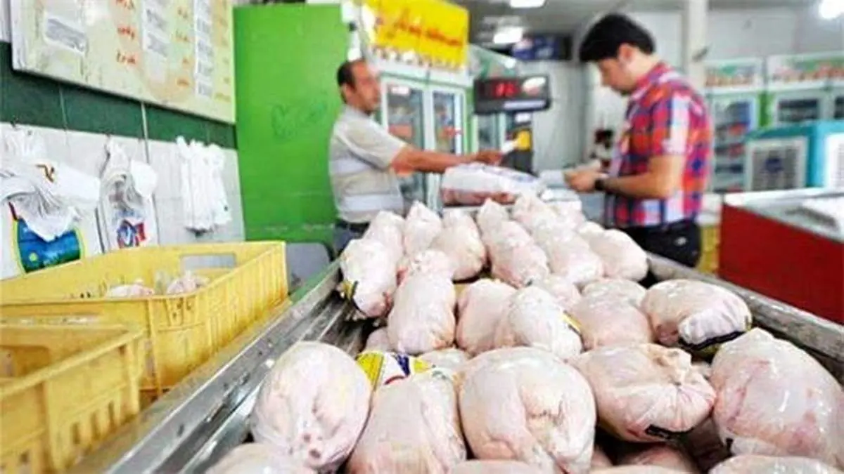 مرغ ارزان می شود؟