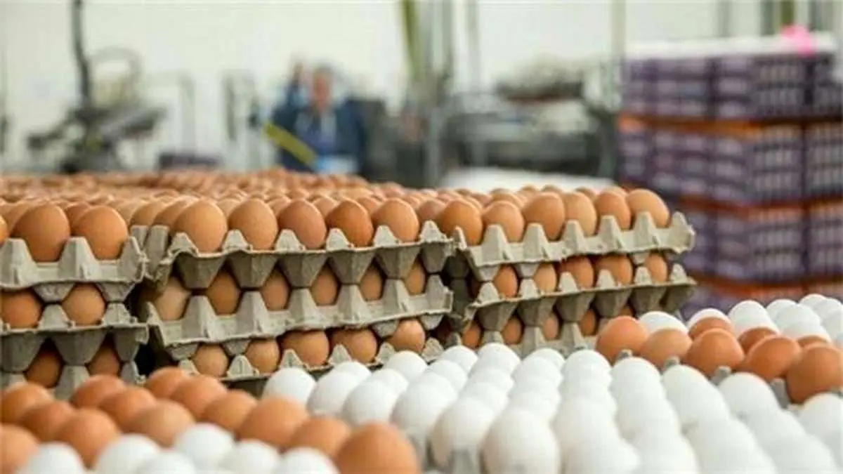 قیمت هر شانه تخم مرغ چند؟