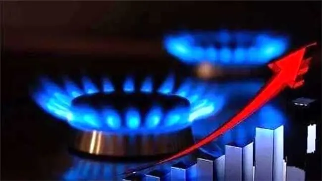مصرف گاز بخش خانگی به ۵۰۵ میلیون متر مکعب رسید/ نیروگاه‌ها با کمبود مواجه می‌شوند؟
