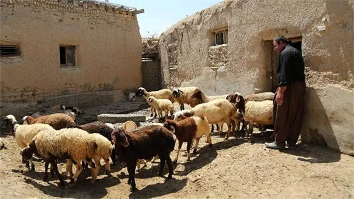 بازگشت با «برکت» ۶۲۵۰ خانواده به روستا