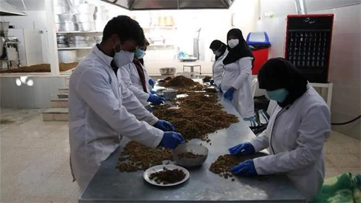 تلاش 27 تسهیلگر برکت در دیار ستارخان و باقرخان