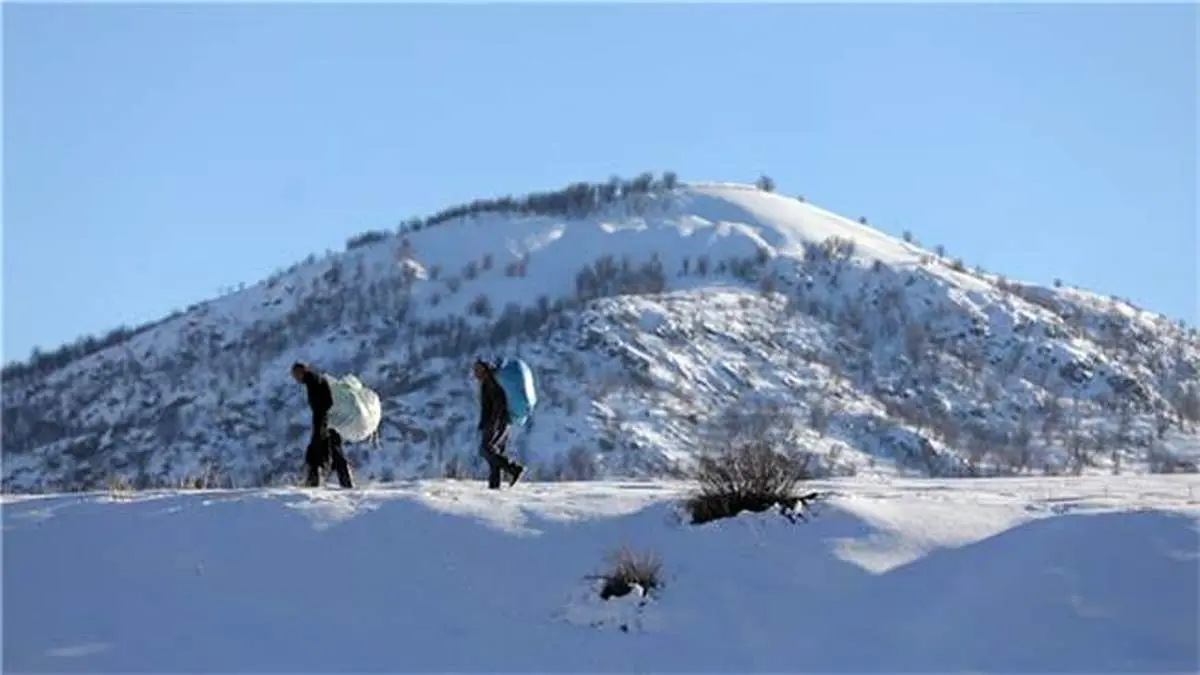 اشتغالزایی برکت برای کولبران ۴۴ روستای سروآباد