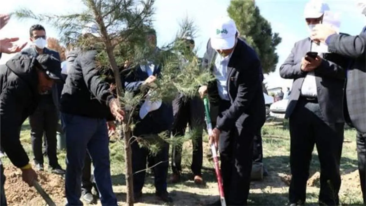گردهمایی بزرگ رفاه در روز درختکاری