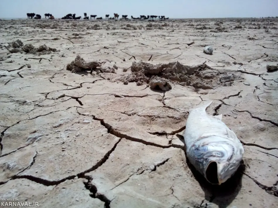 خشکسالی در ایران وارد چهارمین سال خود شد