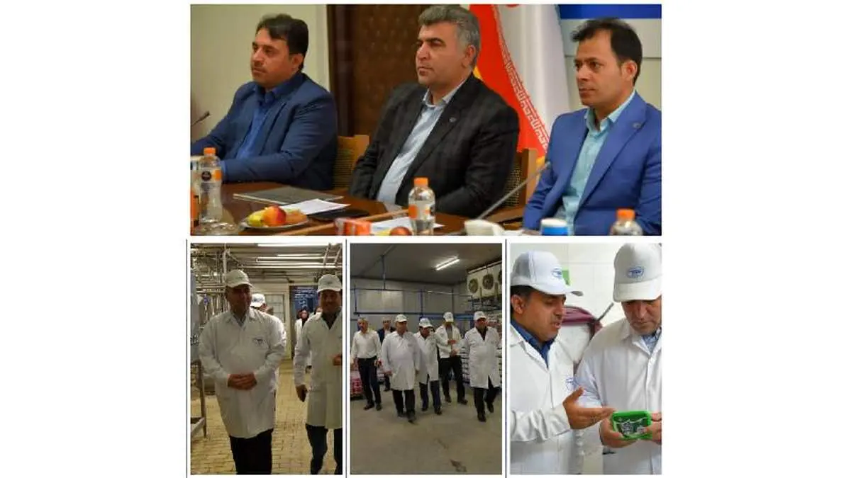 هیچ بنایی بر افزایش قیمت محصولات لبنی نداریم